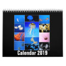 Suche nach marine kalender Quallen