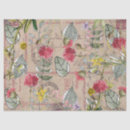 Suche nach deutscher boxer postkarten Vintag