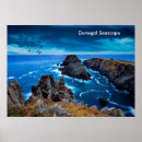 Suche nach vogel auf felsen poster Tierwelt