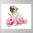 Suche nach mops kunst poster Blume