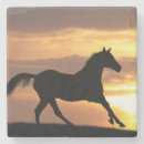 Suche nach arabische pferde untersetzer Araber