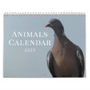 Suche nach wildkatze kalender Natur