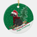 Suche nach labradoodles ornamente Feiertage