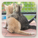 Suche nach bilder untersetzer Niedlich