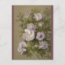 Suche nach vintage flowers postkarten Lila