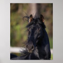 Suche nach headshot poster Andalusisch