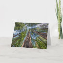 Suche nach redwood karten Rotholzwald