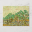 Suche nach olivenbäume postkarten Olivenhain