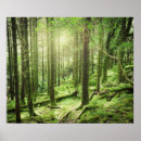 Suche nach park poster Nature