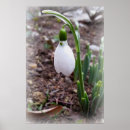 Suche nach schneefallen kunst Quelle