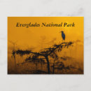 Suche nach everglades postkarten Sonnenaufgang