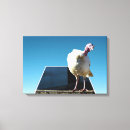 Suche nach zaun leinwandbilder Vogelvogel