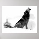 Suche nach heulender wolf poster Natur