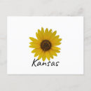 Suche nach sonnenblume staat postkarten Der sonnenblumen staat