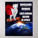 Suche nach unglaublich witzig katze poster Niedlich