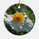 Suche nach mohnblume ornamente Blumen