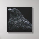 Suche nach corvid poster Rabe