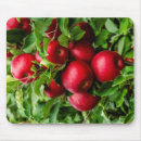 Suche nach roter apfel mousepads Frisch