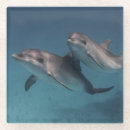 Suche nach posen untersetzer Natur