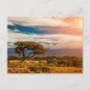 Suche nach kenya poster Landschaft