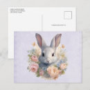 Suche nach rosa kaninchen postkarten Baby
