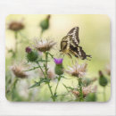 Suche nach riesen mousepads Grün