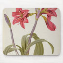 Suche nach botaniker mousepads 19