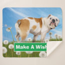 Suche nach furz decken Spaß