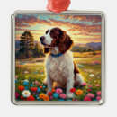 Suche nach englischer springer spaniel ornamente Hunde