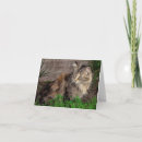Suche nach wildkatzen karten Tier