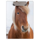 Suche nach pferd klemmbrett Bauernhof