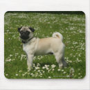 Suche nach mops mousepads Blumen
