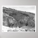 Suche nach herde poster Foto