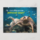 Suche nach lustige schildkröte karten Tier