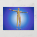 Suche nach nerv poster Menschliche gliedmaßen
