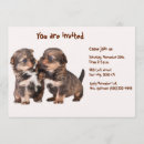 Suche nach yorkshire einladungen Yorkie