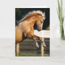 Suche nach stallion karten Pferd