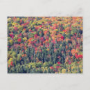 Suche nach waldlandschaft postkarten Herbst