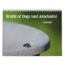 Suche nach käfer kalender Gruselige krawalle