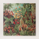 Suche nach illustration puzzle Pflanze