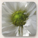 Suche nach chrysantheme untersetzer Weiß