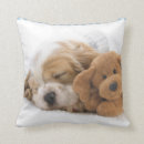 Suche nach hündchen kissen Hund