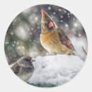 Suche nach jene augen aufkleber Schnee