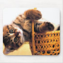 Suche nach braune katze mousepads Niedlich