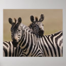 Suche nach reserve poster Natur