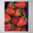 Suche nach rip poster Fruit