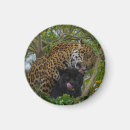 Suche nach schwarzer panther magnete Jaguar