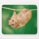 Suche nach niedlicher hamster mousepads Haustier