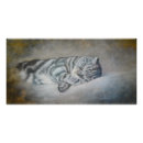 Suche nach sweet dreams poster Katze