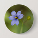 Suche nach blumenknopf buttons Mit blumen